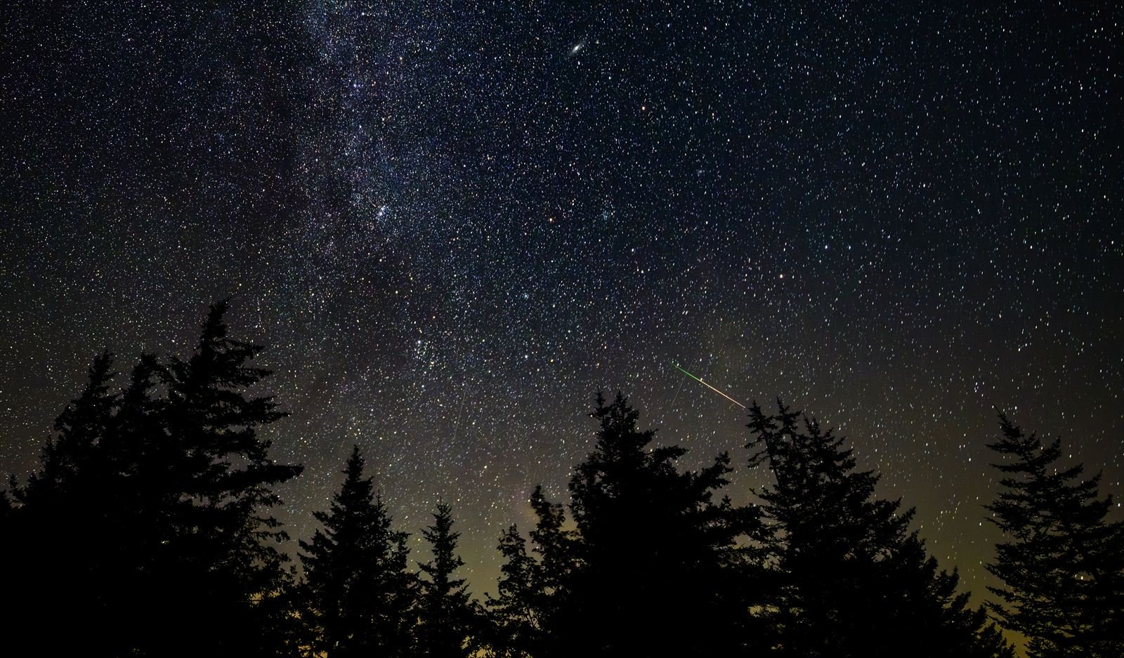 A green and orange meteor streaks across a star-filled sky above dark conifers, with the band of the Milky Way visible overhead
